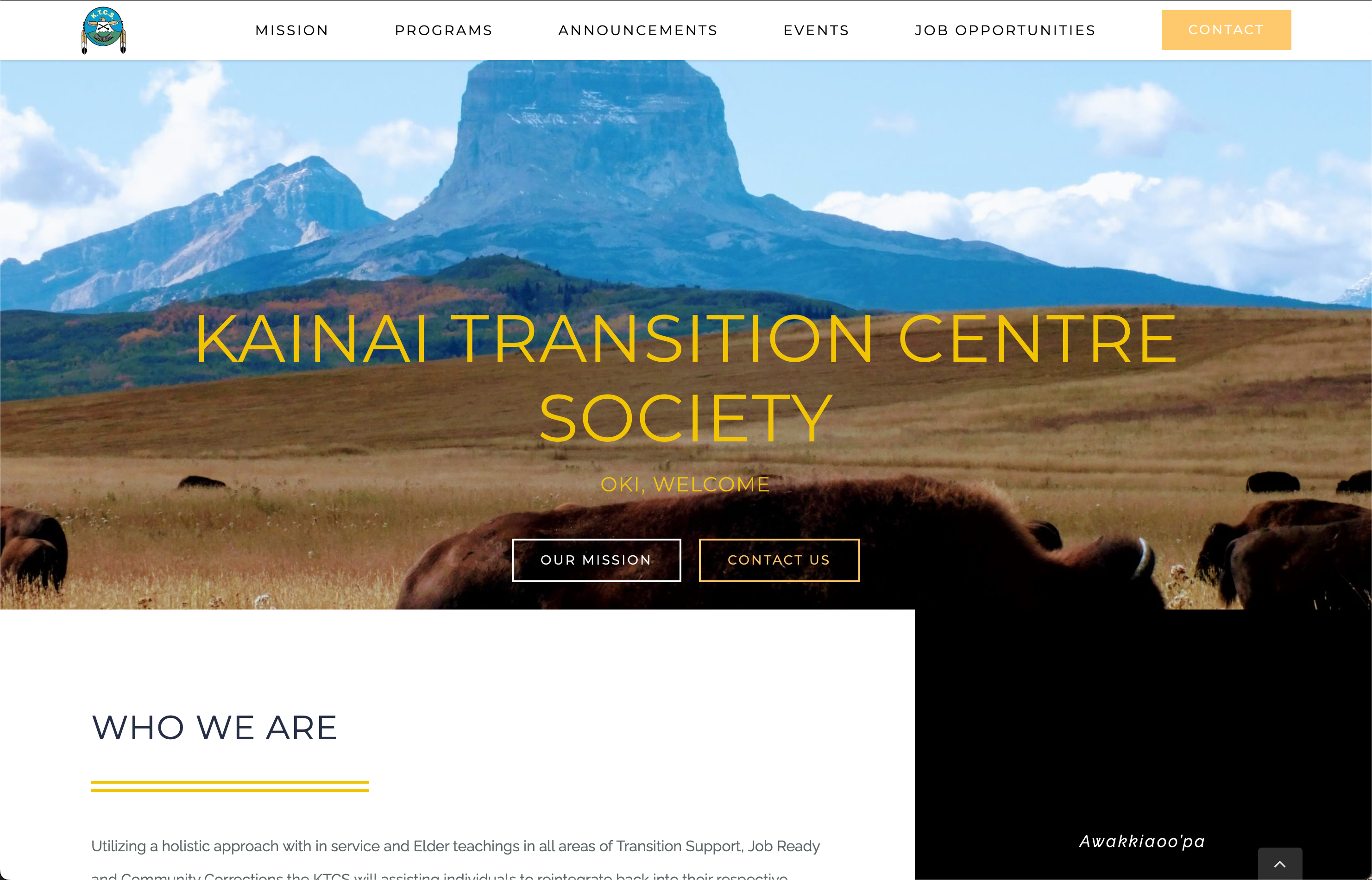 Kainai Transition Centre website screencapture