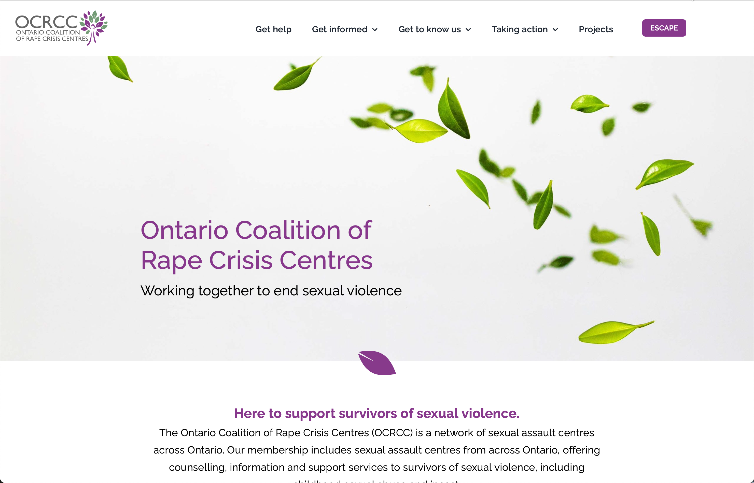 Ontario Coalition of Rape Crisis Centres website screen capture